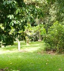 Kingfisher Park Birdwatchers Lodge - New Castle Holiday 0