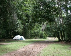 Kingfisher Park Birdwatchers Lodge - New Castle Holiday 5