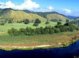 Tranquility On The Daintree - New Castle Holiday 2