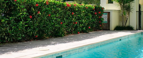 Cairns Beachfront Apartment - New Castle Holiday 5