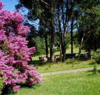 Figlea Cottages - New Castle Holiday