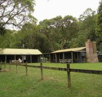 Tree Fern Lodge - New Castle Holiday