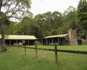 Tree Fern Lodge - New Castle Holiday 0