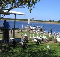 Mountain View Caravan and Mobile Home Village - New Castle Holiday
