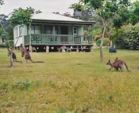 Berringer Lake Holiday Cottages - New Castle Holiday 0