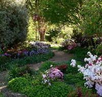 Wombat Hill Bed and Breakfast - New Castle Holiday