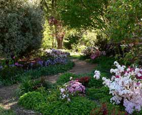 Wombat Hill Bed And Breakfast - New Castle Holiday 0