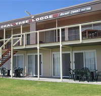 Coral Tree Lodge Tourist Park - New Castle Holiday