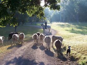 Brooloo Park - New Castle Holiday 0