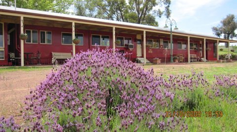Last Stop Ambledown Brook - New Castle Holiday 3