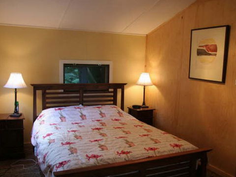 Tree Fern Lodge - New Castle Holiday 3
