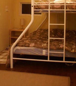 Tree Fern Lodge - New Castle Holiday 4