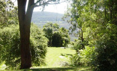Red Dog Retreat - New Castle Holiday 1