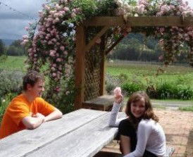 Back Forest Retreat - New Castle Holiday 1