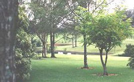 Ferngrove Estate - New Castle Holiday 1