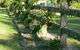 Wombat Hill Bed And Breakfast - thumb 1