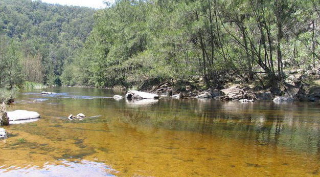 Deua River Valley NSW New Castle Holiday