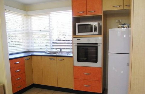 A Husky Sea-Esta - New Castle Holiday 3