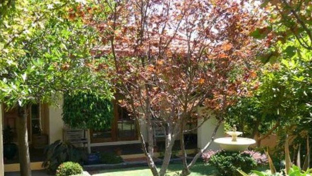 Mirador NSW New Castle Holiday