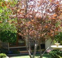 Akame - New Castle Holiday