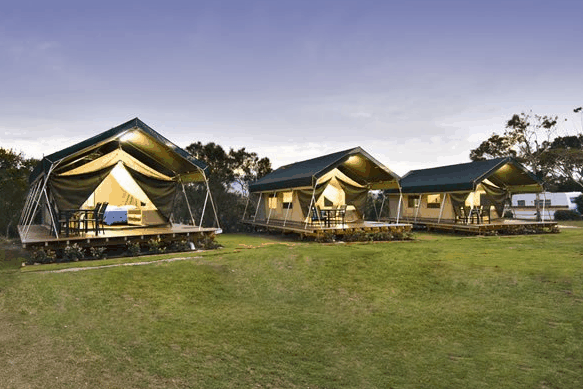 Hastings Point Holiday Park - New Castle Holiday