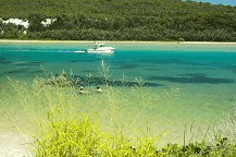 Wooli Camping and Caravan Park - New Castle Holiday