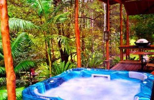A Waterfall Hideout-Rainforest Cabin For Couples - New Castle Holiday 5