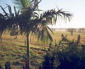 Seeview Farmstay - New Castle Holiday 1