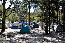 Arts Factory Backpackers Lodge - New Castle Holiday 3