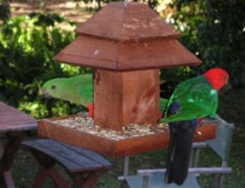 Chauvel Park B And B - New Castle Holiday 2