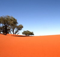 Theldarpa Stationstay - New Castle Holiday