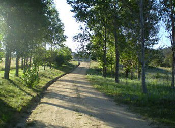 Mia Creek Bed And Breakfast - New Castle Holiday 0