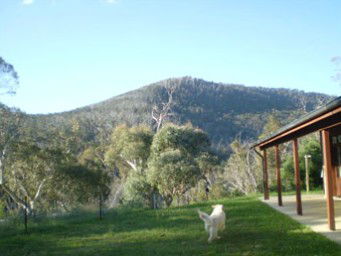 Mia Creek Bed And Breakfast - New Castle Holiday 5