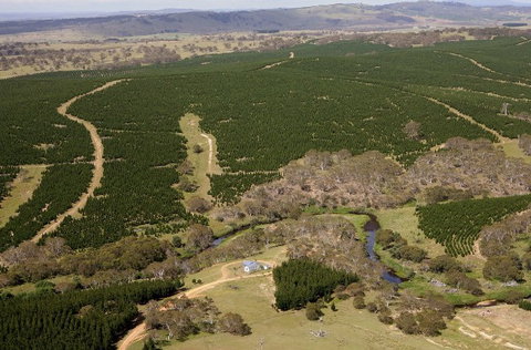 Cochabonddu - New Castle Holiday 2