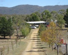 Snowy Vineyard Cottage - New Castle Holiday 2