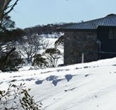 Barina Milpara Lodge - New Castle Holiday