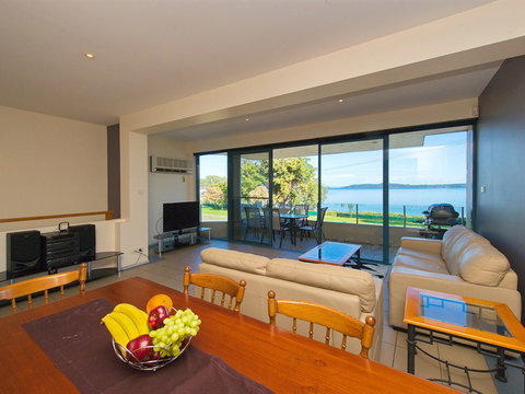 Dolphins - New Castle Holiday 1