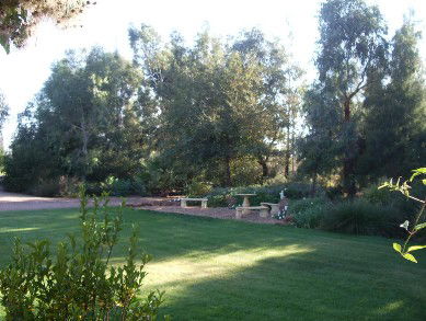 Wilga Park Cottage - New Castle Holiday 4