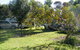 Kyalite Caravan Park - thumb 3