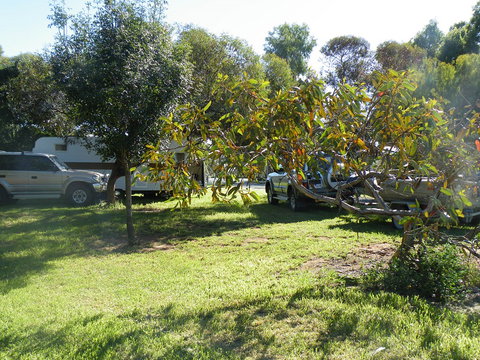 Kyalite Caravan Park - New Castle Holiday 3