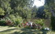 Bidgee Bankside Cottage - thumb 0