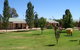 Narrandera Caravan Park - thumb 0