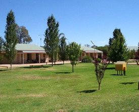 Narrandera Caravan Park - New Castle Holiday 0