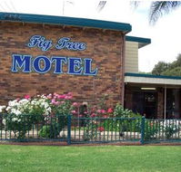 Fig Tree Motel - New Castle Holiday