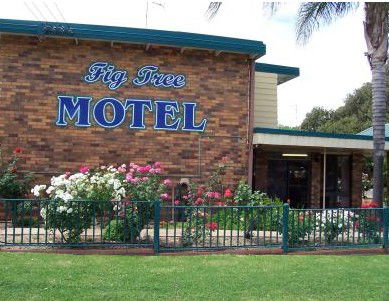 Fig Tree Motel - New Castle Holiday 0