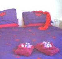 Aloomba Lavender - Accommodation - New Castle Holiday