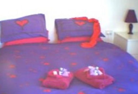 Aloomba Lavender - Accommodation - New Castle Holiday 0