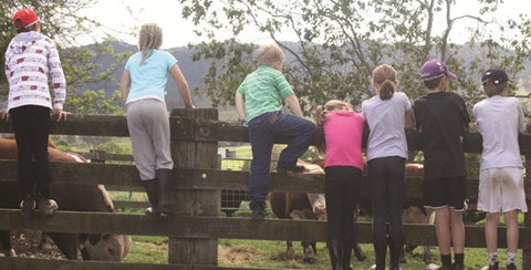 Ashmar Farm Stay - New Castle Holiday 4