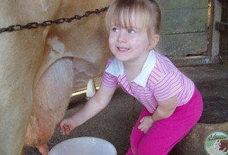 Ashmar Farm Stay - New Castle Holiday 5