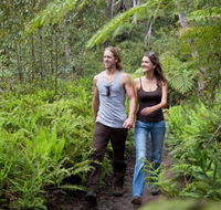 Blackheath Glen Tourist Park - New Castle Holiday